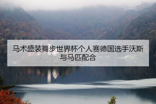 马术盛装舞步世界杯个人赛德国选手沃斯与马匹配合